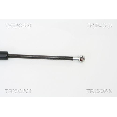 Gasfeder, Koffer-/Laderaum TRISCAN 8710 16242 f&uuml;r FORD