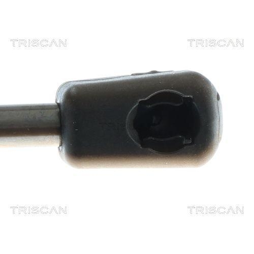 Gasfeder, Koffer-/Laderaum TRISCAN 8710 81210 f&uuml;r TESLA, hinten links