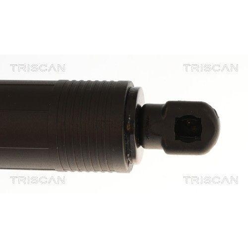 TRISCAN 8710 11384 Gasfeder, Koffer-/Laderaum f&uuml;r BMW, links, rechts