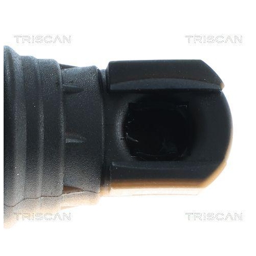 Gasfeder, Koffer-/Laderaum TRISCAN 8710 81212 f&uuml;r TESLA, hinten links