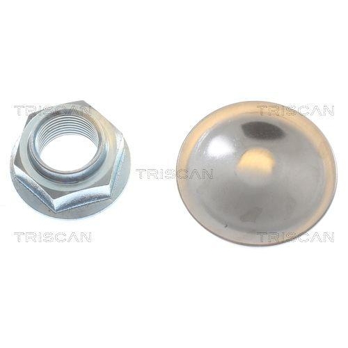 TRISCAN 8120 101124C 2 St&uuml;ck Bremsscheiben f&uuml;r FIAT NISSAN OPEL RENAULT VAUXHALL