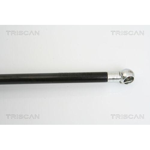 Gasfeder, Koffer-/Laderaum TRISCAN 8710 16244 für FORD, hinten links