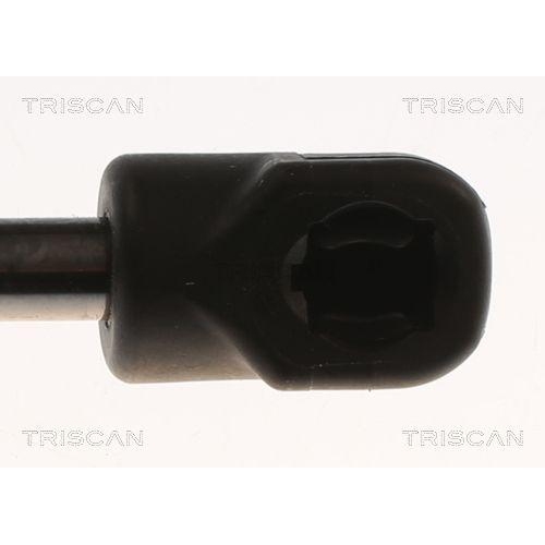 Gasfeder, Koffer-/Laderaum TRISCAN 8710 82001 für SAIC MOTOR