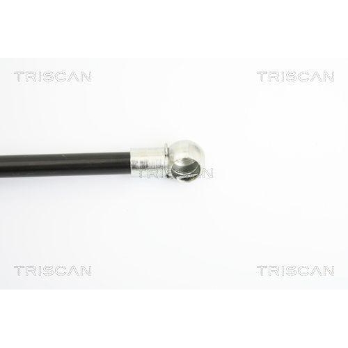 Gasfeder, Koffer-/Laderaum TRISCAN 8710 16247 für FORD, hinten links