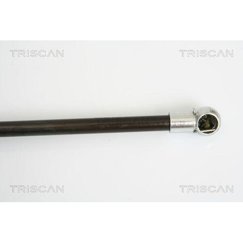 Gasfeder, Koffer-/Laderaum TRISCAN 8710 16248 für FORD, hinten links