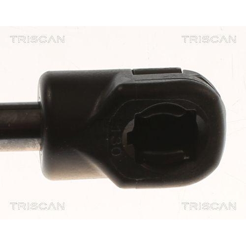 Gasfeder, Koffer-/Laderaum TRISCAN 8710 82004 f&uuml;r SAIC MOTOR