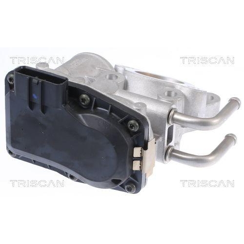 AGR-Ventil TRISCAN 8813 14010 f&uuml;r NISSAN