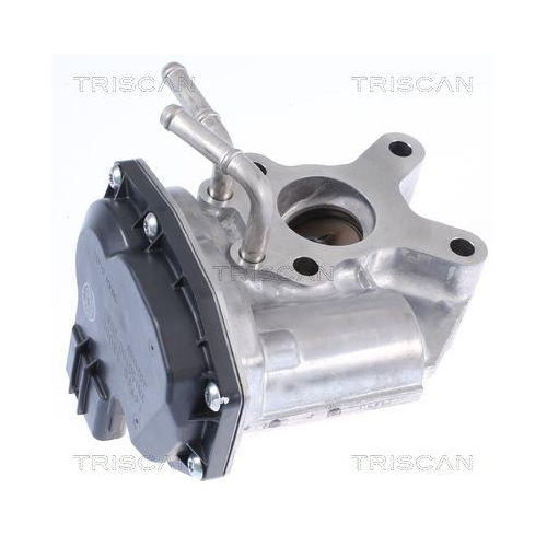 AGR-Ventil TRISCAN 8813 14015 f&uuml;r NISSAN