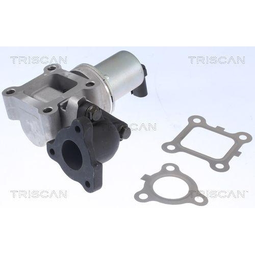 AGR-Ventil TRISCAN 8813 43200 f&uuml;r HYUNDAI HITACHI