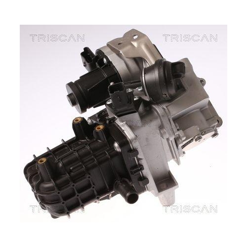 AGR-Ventil TRISCAN 8813 28046 f&uuml;r CITRO&Euml;N FORD OPEL PEUGEOT VAUXHALL