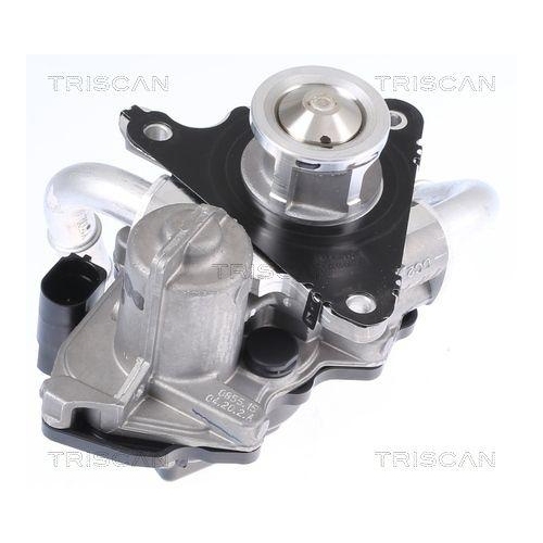 AGR-Ventil TRISCAN 8813 29058 f&uuml;r AUDI SEAT SKODA VW