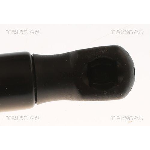 Gasfeder, Koffer-/Laderaum TRISCAN 8710 82009 f&uuml;r SAIC MOTOR