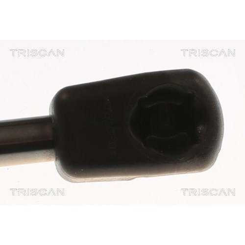 Gasfeder, Koffer-/Laderaum TRISCAN 8710 82010 für SAIC MOTOR