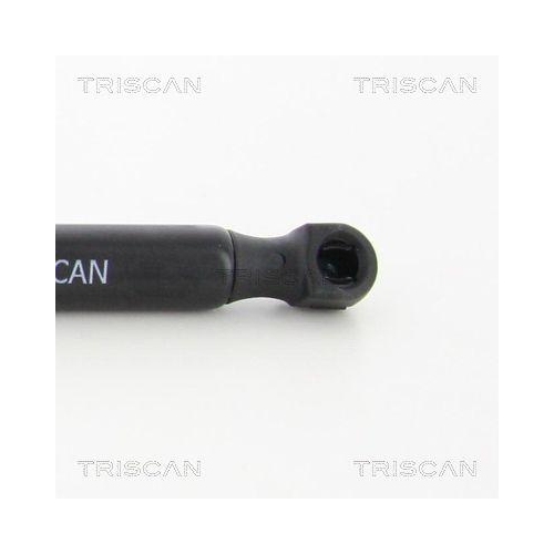 Gasfeder, Koffer-/Laderaum TRISCAN 8710 16259 für FORD, hinten links