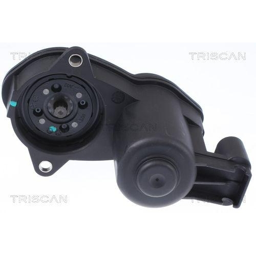 Stellelement, Feststellbremse Bremssattel TRISCAN 8170 208010 f&uuml;r BMW LAND ROVER