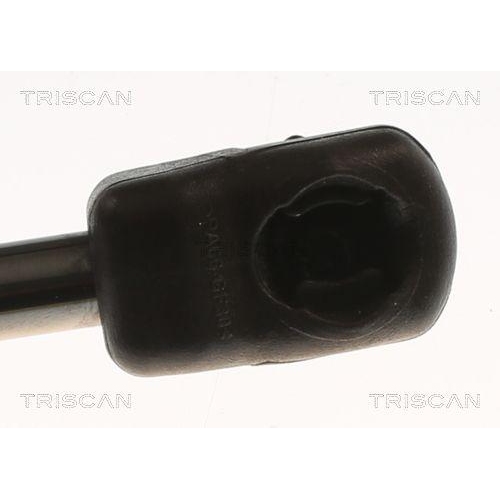 Gasfeder, Motorhaube TRISCAN 8710 82012 f&uuml;r SAIC MOTOR