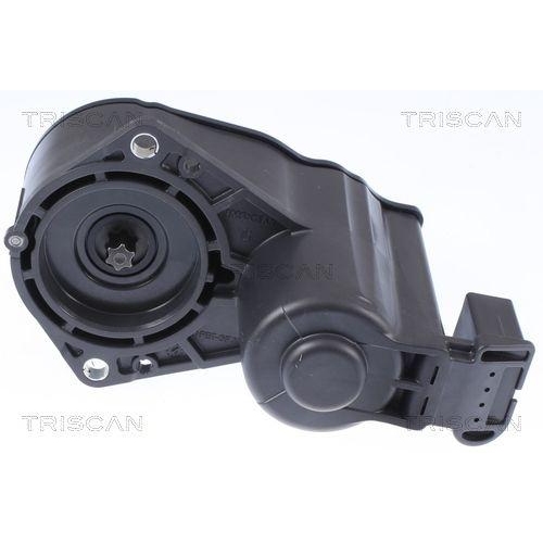 Stellelement, Feststellbremse Bremssattel TRISCAN 8170 208018 f&uuml;r CITRO&Euml;N