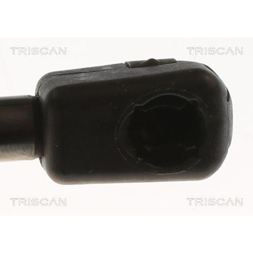 Gasfeder, Koffer-/Laderaum TRISCAN 8710 83001 für SAIC MOTOR