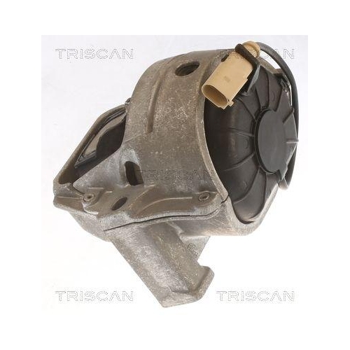 Lagerung, Motor TRISCAN 8505 29196 f&uuml;r AUDI PORSCHE, links, rechts, vorne