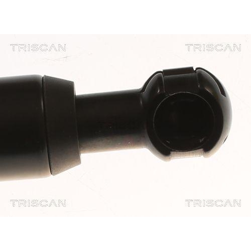 Gasfeder, Koffer-/Laderaum TRISCAN 8710 83003 f&uuml;r SAIC MOTOR