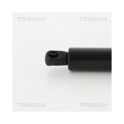 Gasfeder, Koffer-/Laderaum TRISCAN 8710 16268 für FORD, hinten links