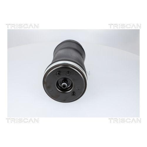 Luftfeder, Fahrwerk TRISCAN 8720 11204 f&uuml;r BMW, Hinterachse rechts