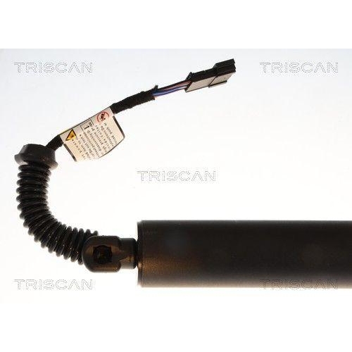 TRISCAN 8710 11373 Gasfeder, Koffer-/Laderaum f&uuml;r BMW, links, rechts