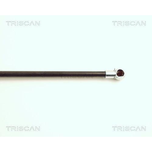 Gasfeder, Koffer-/Laderaum TRISCAN 8710 15222 für FIAT