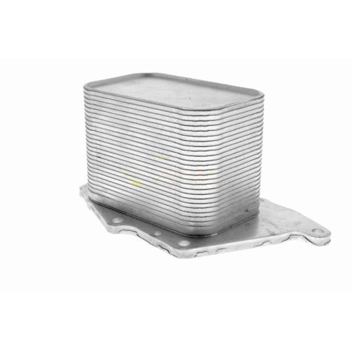 &Ouml;lk&uuml;hler, Motor&ouml;l VEMO V20-60-1554 Original VEMO Qualit&auml;t f&uuml;r BMW