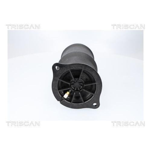 Luftfeder, Fahrwerk TRISCAN 8720 23210 f&uuml;r MERCEDES-BENZ, Hinterachse beidseitig