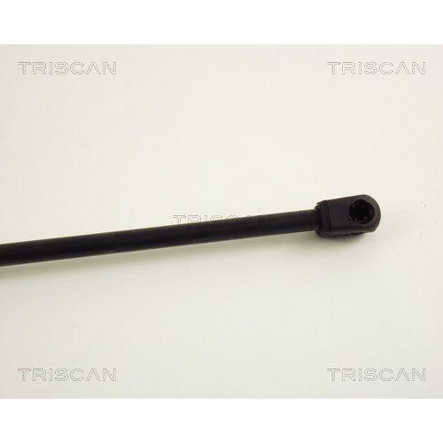 Gasfeder, Koffer-/Laderaum TRISCAN 8710 29213 für VW