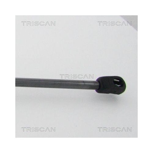 Gasfeder, Koffer-/Laderaum TRISCAN 8710 29214 f&uuml;r VW