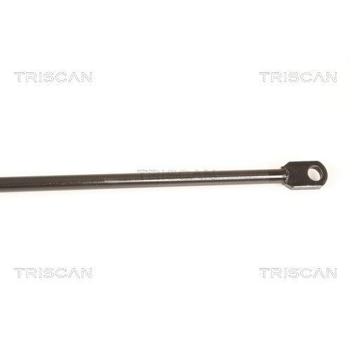 Gasfeder, Koffer-/Laderaum TRISCAN 8710 29216 f&uuml;r SEAT