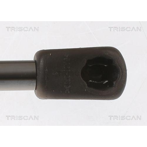 Gasfeder, Koffer-/Laderaum TRISCAN 8710 18245 f&uuml;r KIA, hinten links