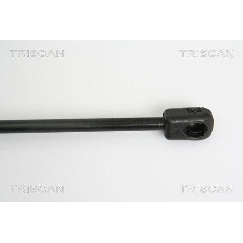 Gasfeder, Heckscheibe TRISCAN 8710 38223 f&uuml;r CITRO&Euml;N, links, rechts