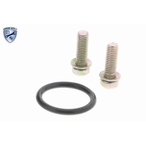 Leerlaufregelventil, Luftversorgung VEMO V46-77-0023 EXPERT KITS + für RENAULT