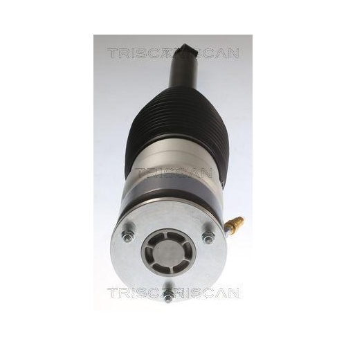 Luftfeder, Fahrwerk TRISCAN 8720 81202 f&uuml;r TESLA, Hinterachse rechts