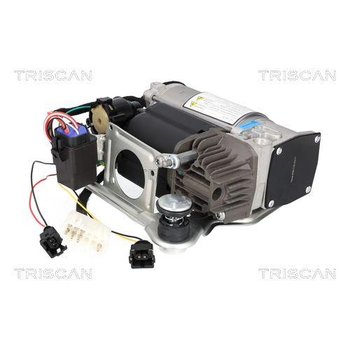 Kompressor, Druckluftanlage TRISCAN 8725 11106 für BMW