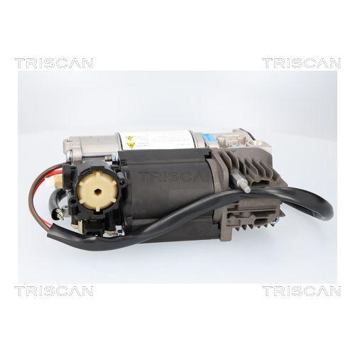 Kompressor, Druckluftanlage TRISCAN 8725 11107 für BMW