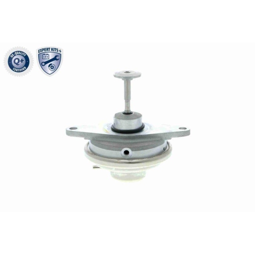 AGR-Ventil VEMO V40-63-0024-1 EXPERT KITS + f&uuml;r OPEL VAUXHALL GENERAL MOTORS