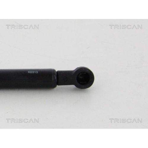 Gasfeder, Verdeck TRISCAN 8710 38242 f&uuml;r CITRO&Euml;N