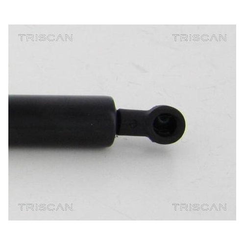 Gasfeder, Verdeck TRISCAN 8710 38243 f&uuml;r CITRO&Euml;N