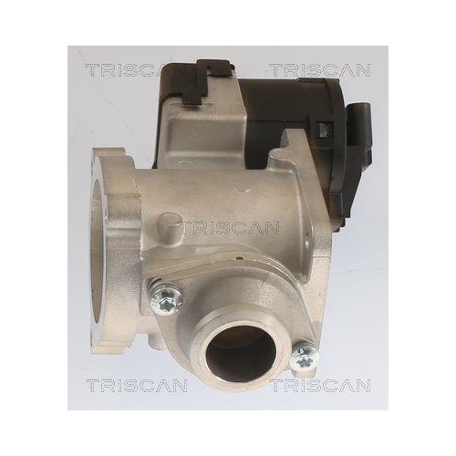 AGR-Ventil TRISCAN 8813 11020 f&uuml;r BMW