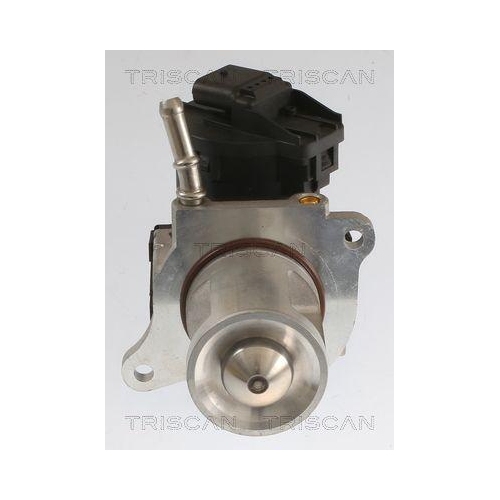 AGR-Ventil TRISCAN 8813 23040 f&uuml;r MERCEDES-BENZ