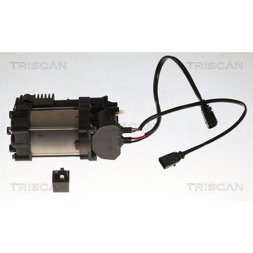 Kompressor, Druckluftanlage TRISCAN 8725 29103 für VW