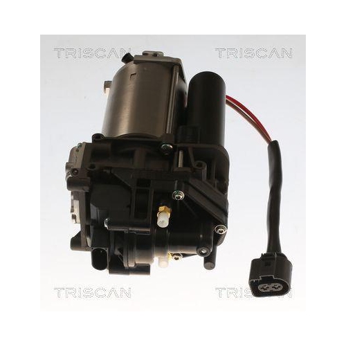 Kompressor, Druckluftanlage TRISCAN 8725 29104 für AUDI
