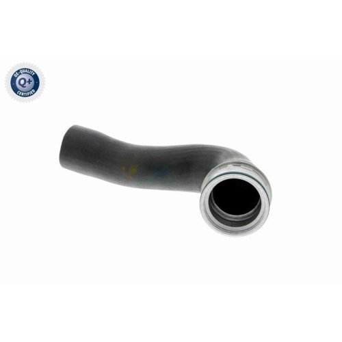 Ladeluftschlauch VAICO V10-3769 Q+, Erstausr&uuml;sterqualit&auml;t f&uuml;r AUDI SEAT SKODA VW
