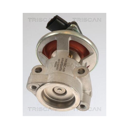 AGR-Ventil TRISCAN 8813 42003 f&uuml;r MITSUBISHI