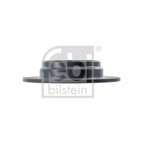 Bremsscheibe FEBI BILSTEIN 12325 f&uuml;r BMW, Hinterachse