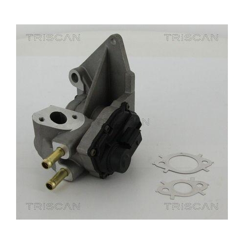 AGR-Ventil TRISCAN 8813 29047 f&uuml;r AUDI SEAT SKODA VW